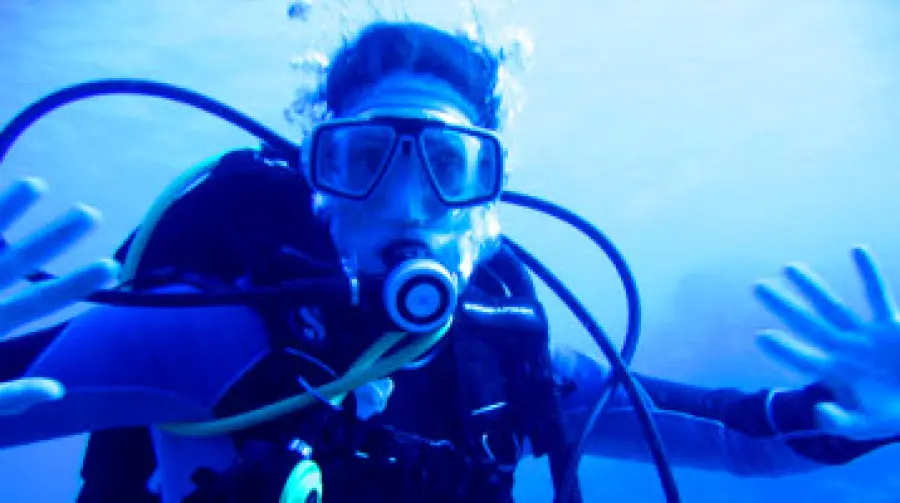 Vacanze al mare e immersioni subacquee in Friuli Venezia Giulia: Trieste, Grado e Lignano per i sub