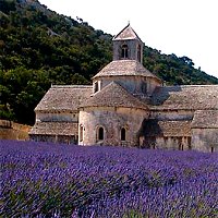 Vacanze in Provenza: una regione della Francia tutta da vedere per un itinerario di viaggio tra cultura e relax