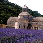 Vacanze in Provenza: una regione della Francia tutta da vedere per un itinerario di viaggio tra cultura e relax