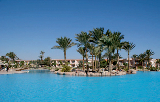 Vacanza 2011 Sharm El Sheikh (in Egitto): offerte viaggio Gennaio e Febbraio 2011 a Nabq Bay (7 notti)