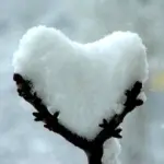 Fiera Natalidea-Ideaneve 2010 a Genova dal 7 al 19 Dicembre. Mercatino di Natale e Offerte Viaggio