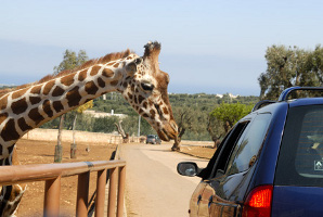 Halloween 2010 allo Zoo di Fasano con la famiglia e i bambini: offerta viaggio Zoo di Fasano (Brindisi) 