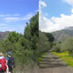 Turismo Religioso: pellegrinaggio a Pompei attraverso il Parco Nazionale del Vesuvio dal 25 al 27 Giugno 2010