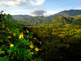 Turismo Sostenibile Offerta viaggio Tour Ecuador 2010: Quito-Otavalo-Mindo-Cotopaxi-Amazzonia