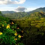 Turismo Sostenibile Offerta viaggio Tour Ecuador 2010: Quito-Otavalo-Mindo-Cotopaxi-Amazzonia