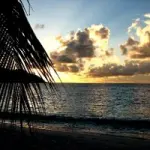 Offerte Viaggio alle Seychelles: vacanze Aprile 2010. Partenze viaggio alle Seychelles dal 5 al 25 Aprile 2010