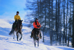 Vacanze Benessere in Trentino Alto Adige: equitazione sulla neve e Centro Benessere Spa a Pedraces 