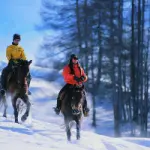 Vacanze Benessere in Trentino Alto Adige: equitazione sulla neve e Centro Benessere Spa a Pedraces 