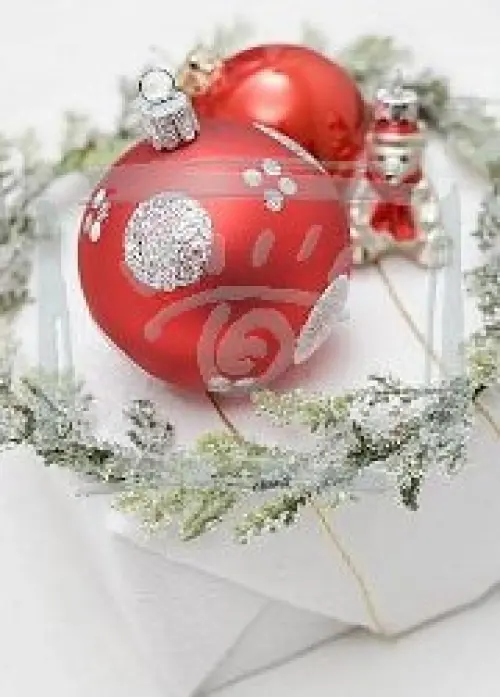 Fiera Natale in Mostra 2009 a Napoli dal 12 al 20 Dicembre 2009. Il mercatino di Natale di Napoli 