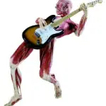 A Zurigo (Svizzera) la mostra di corpi umani plastinati di Gunther von Hagens fino al 28 Febbraio 2010