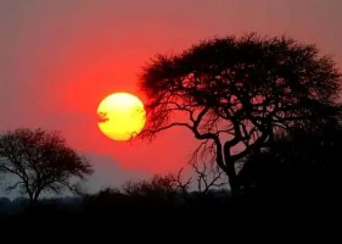 Offerte Viaggio in Sud Africa: immersioni e Safari in Sud Africa - Pacchetto viaggio e soggiorno in Sudafrica 