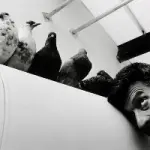 Mostre Milano: mostra fotografica 