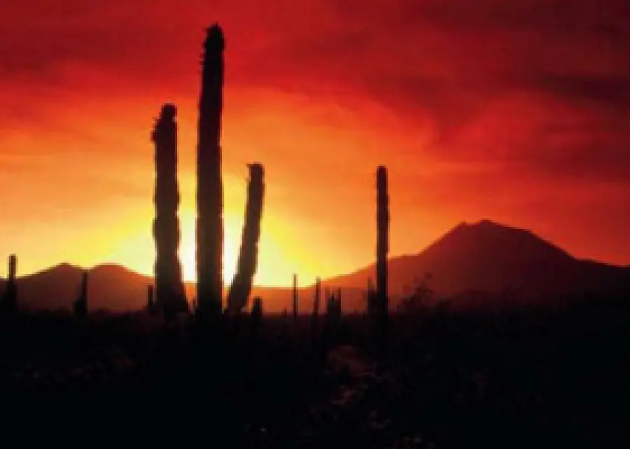 Vacanze in Messico: offerta viaggio Tour Messico valida fino a Novembre 2009. Da Città del Messico a Mérida