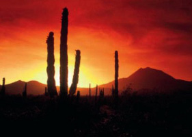 Vacanze in Messico: offerta viaggio Tour Messico valida fino a Novembre 2009. Da Città del Messico a Mérida