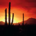 Vacanze in Messico: offerta viaggio Tour Messico valida fino a Novembre 2009. Da Città del Messico a Mérida