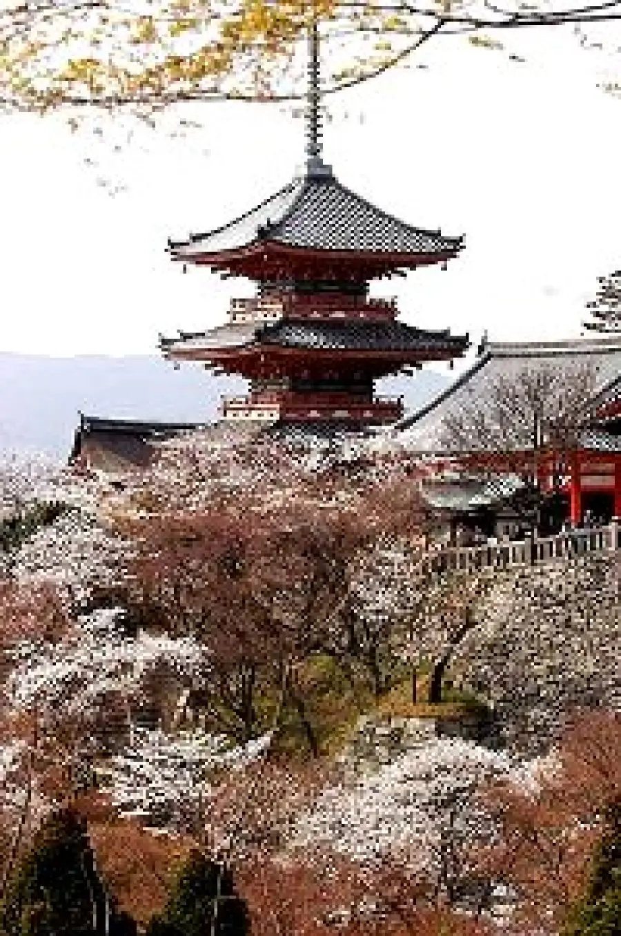 Offerte Viaggi del Mappamondo: Tour Giappone di 12 giorni. Tokyo, Kamakura, Osaka, Kumano, Ji Temple
