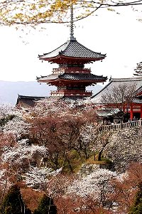 Offerte Viaggi del Mappamondo: Tour Giappone di 12 giorni. Tokyo, Kamakura, Osaka, Kumano, Ji Temple