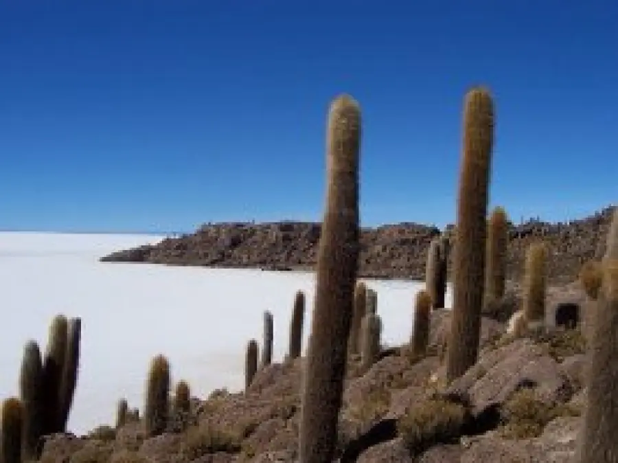 Vacanze Avventura in Bolivia per un Turismo Ecosostenibile: offerte viaggio Tour in Bolivia 