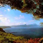 Vacanze Estate 2009 in Sudafrica: offerte viaggio Giugno-Luglio-Agosto-Settembre Tour Sudafrica 