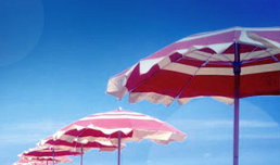 Offerte Vacanze al Mare Estate 2009: offerta viaggio Luglio 2009 a Villa Rosa di Martinsicuro (Teramo) 