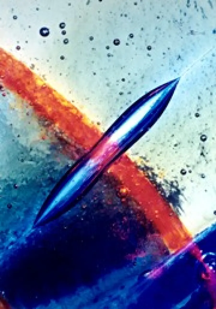 A San Donà di Piave (Venezia) la Mostra fotografica di Silvio Vigliaturo dal 30 Maggio al 5 Luglio 2009