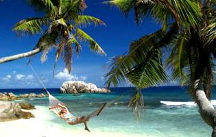 Viaggio alle Seychelles all' isola di Cousine Island: una riserva naturale protetta nelle Seychelles di Praslin