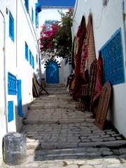Viaggio in Tunisia: la Medina di Tunisi, Cartagine e Sidi Bou Said. Offerte viaggio-vacanze in Tunisia: voli e hotel 