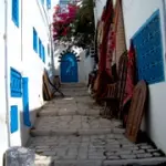 Viaggio in Tunisia: la Medina di Tunisi, Cartagine e Sidi Bou Said. Offerte viaggio-vacanze in Tunisia: voli e hotel 