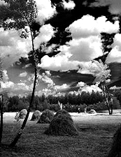 Mostre Venezia Aprile-Maggio-Giugno 2009: mostra fotografica Elio Ciol al Centro Candiani di Mestre