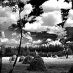 Mostre Venezia Aprile-Maggio-Giugno 2009: mostra fotografica Elio Ciol al Centro Candiani di Mestre