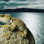 Allo Spazio Fontana del Palaexpo di Roma, la mostra 