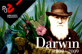 Al Palazzo delle Esposizioni di Roma la mostra 