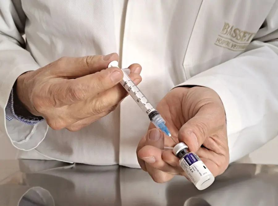 Vaccinazioni per viaggiare: guida pratica 2026