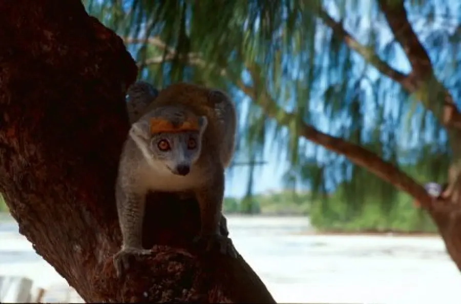 Tour 8 giorni Madagascar: Nosy Be-Antsiranana