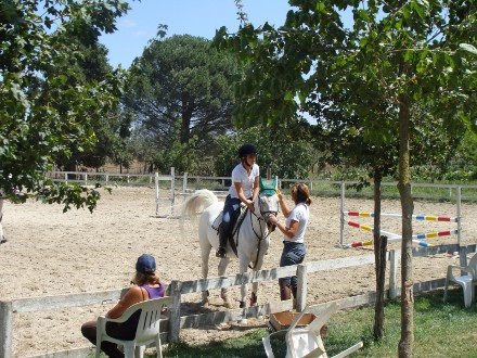 Lazio-Viterbo: agriturismo la Bicoca. Maneggio privato, due piscine all' aperto