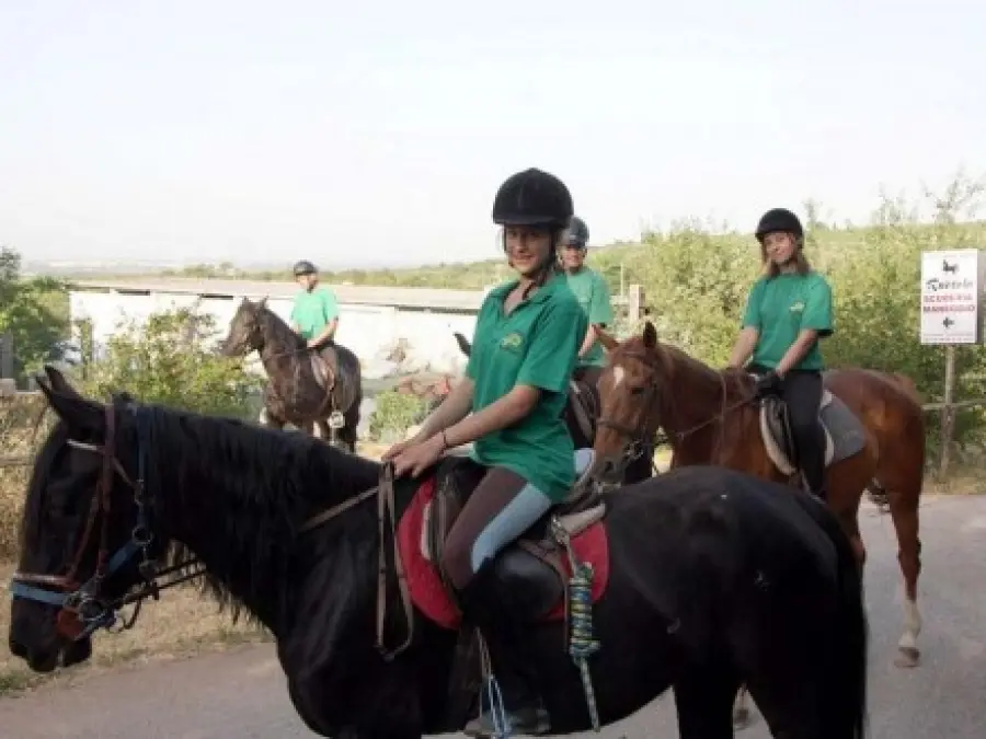 Puglia-Bari: agriturismo con animali Masseria Ruotolo. Equitazione e visite speleologiche