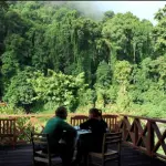 Tour Borneo: Stato malese del Sabah. Da giugno ad agosto il periodo migliore