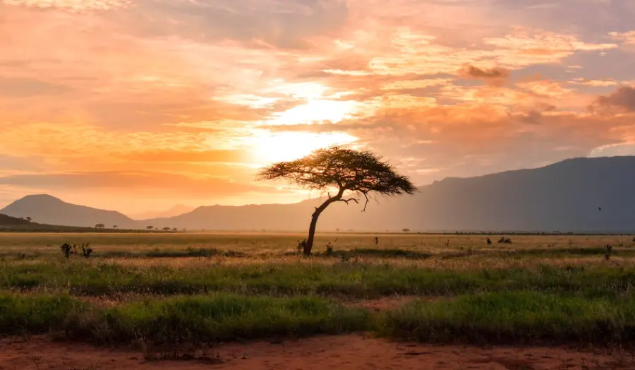 Vacanza in Africa: dove andare in base alle stagioni