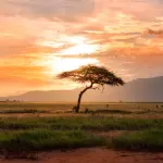 Vacanza in Africa: dove andare in base alle stagioni