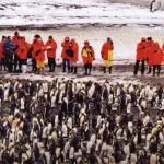 Georgia Australe-Viaggio a Royal Bay: l' isola dei pinguini in Antartide