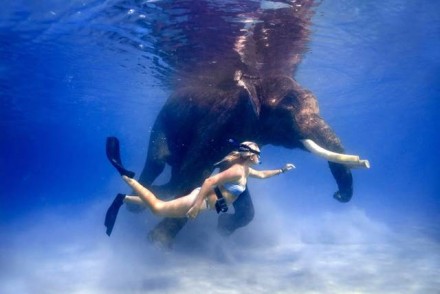 India-isole Andamane: vacanza ad Havelock Island per fare snorkeling con un elefante