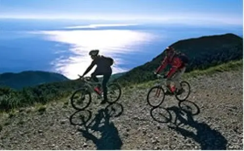 Cicloturismo ad Istria: percorsi guidati in bicicletta per le vacanze ad Istria