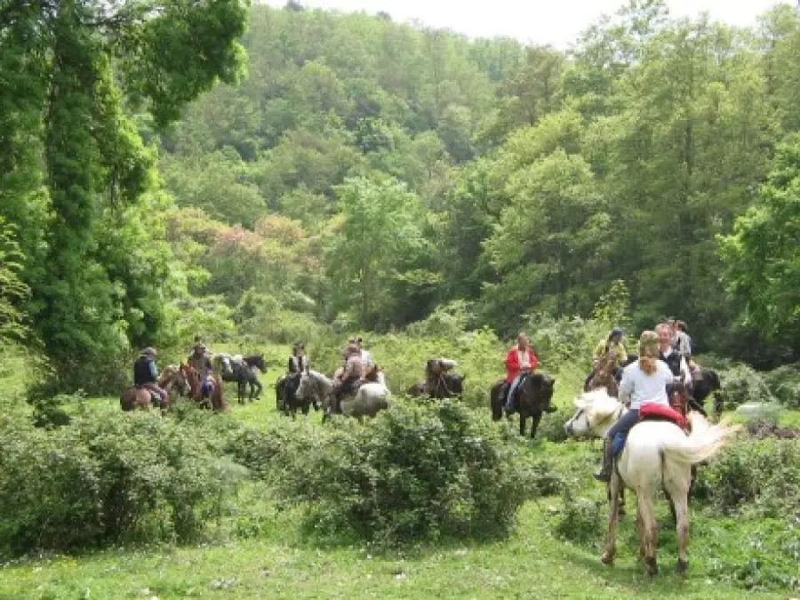 Vacanze in Toscana: trekking e passeggiate a cavallo nella Maremma Toscana