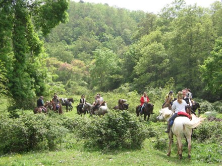 Vacanze in Toscana: trekking e passeggiate a cavallo nella Maremma Toscana