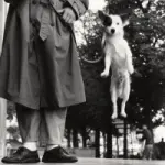 Palazzo Madama-Torino: mostra fotografica Elliott Erwitt fino al 1 Settembre 2013