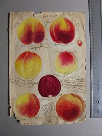 Complesso del Vittoriano di Roma: mostra gratuita Culturacibo fino al 7 Aprile 2013