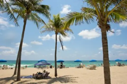 Cosa vedere a Fort Lauderdale (Florida) e Palm Springs (California). Viaggio Stati Uniti