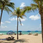 Cosa vedere a Fort Lauderdale (Florida) e Palm Springs (California). Viaggio Stati Uniti