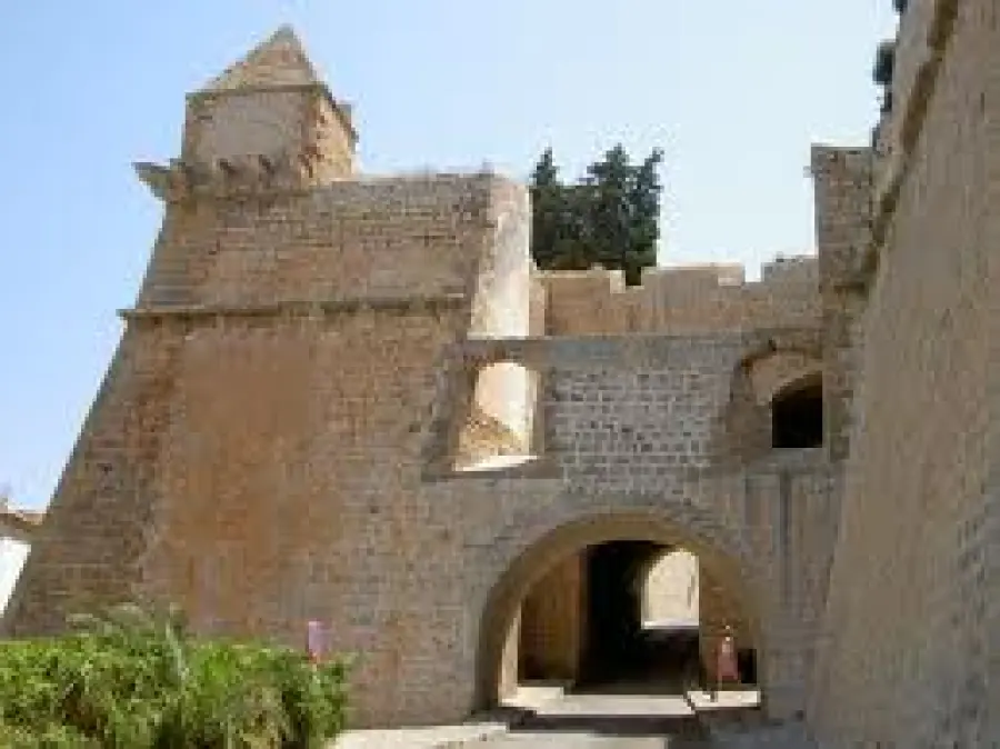 Cosa vedere a Ibiza: necropoli e villaggio fenicio, area protetta di Ses Salinas