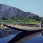 Vacanze in India nel Kashmir: itinerario di viaggio. Cosa vedere nel Kashmir